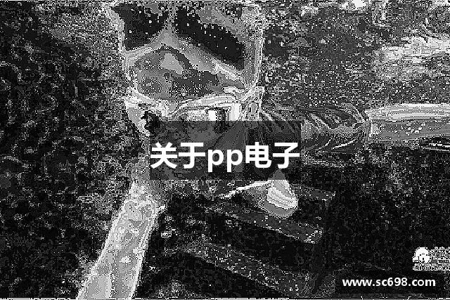 关于pp电子