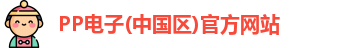 pp电子